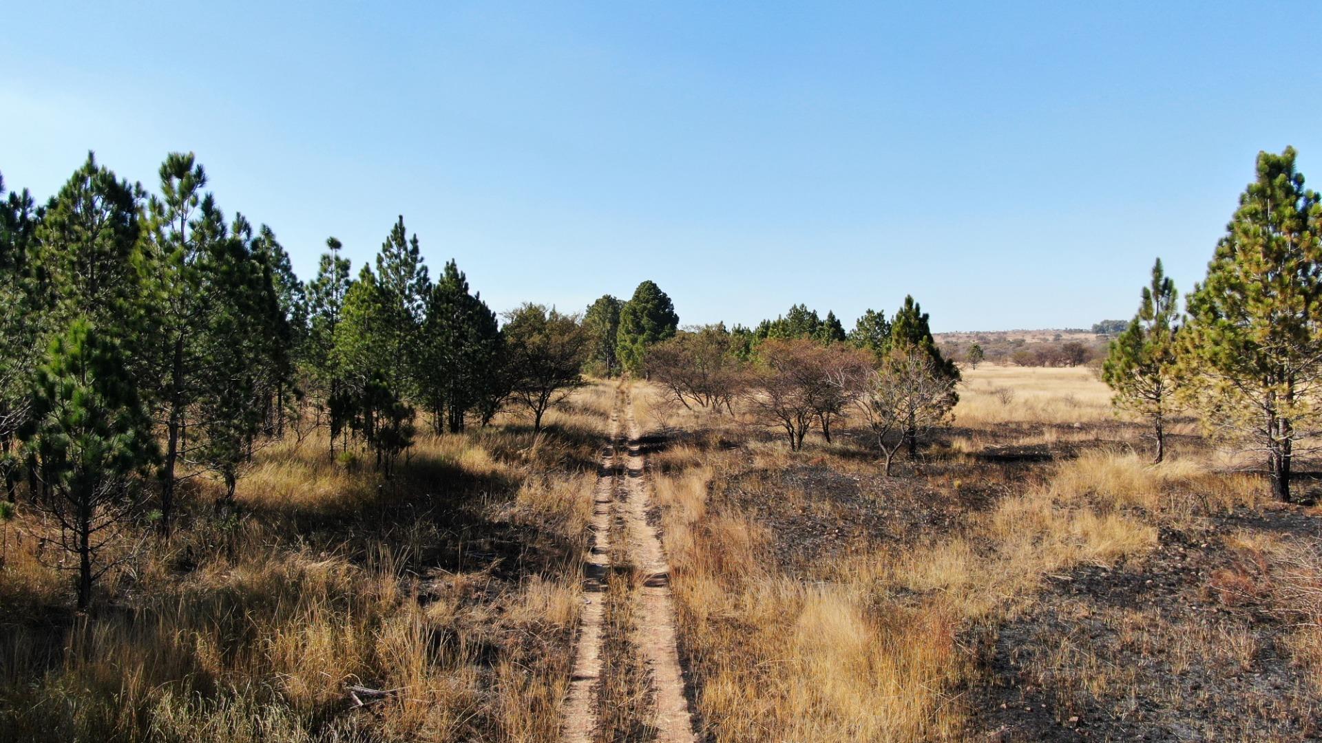 752792_DJI_0915.JPG