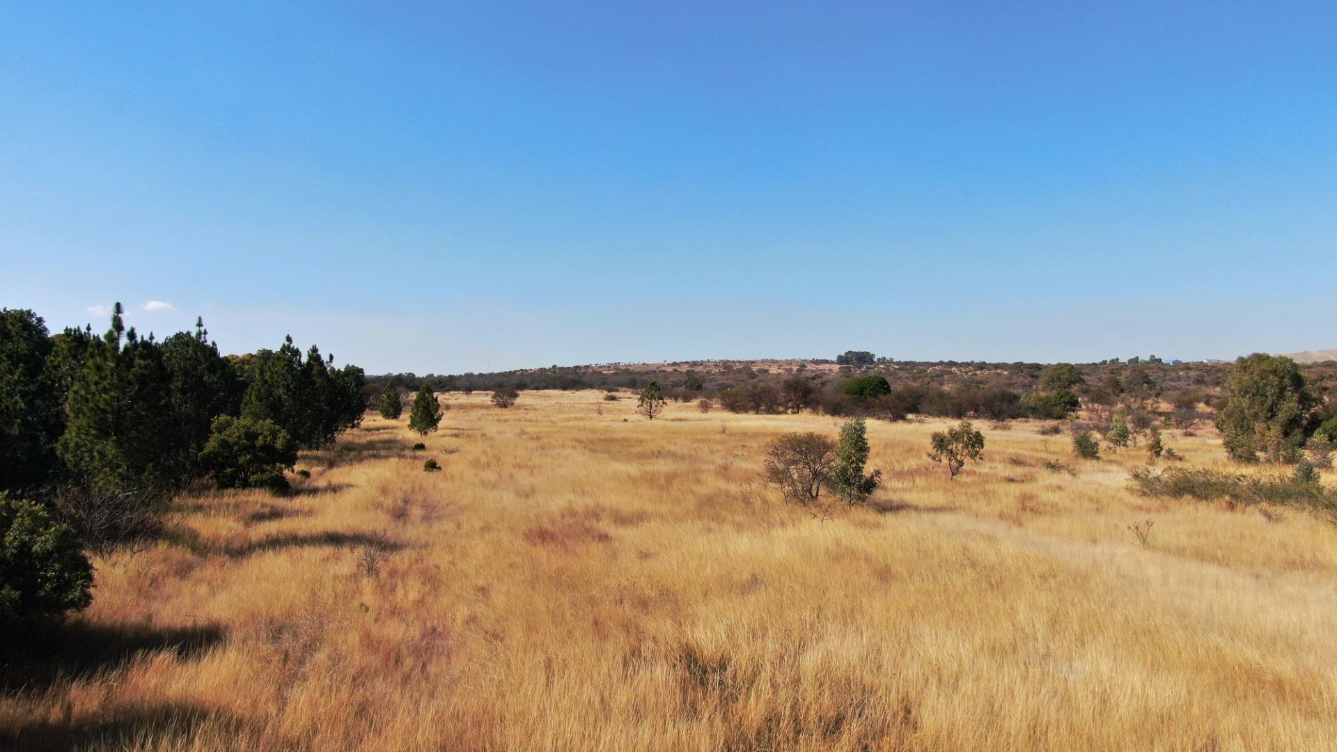 752792_DJI_0916.JPG