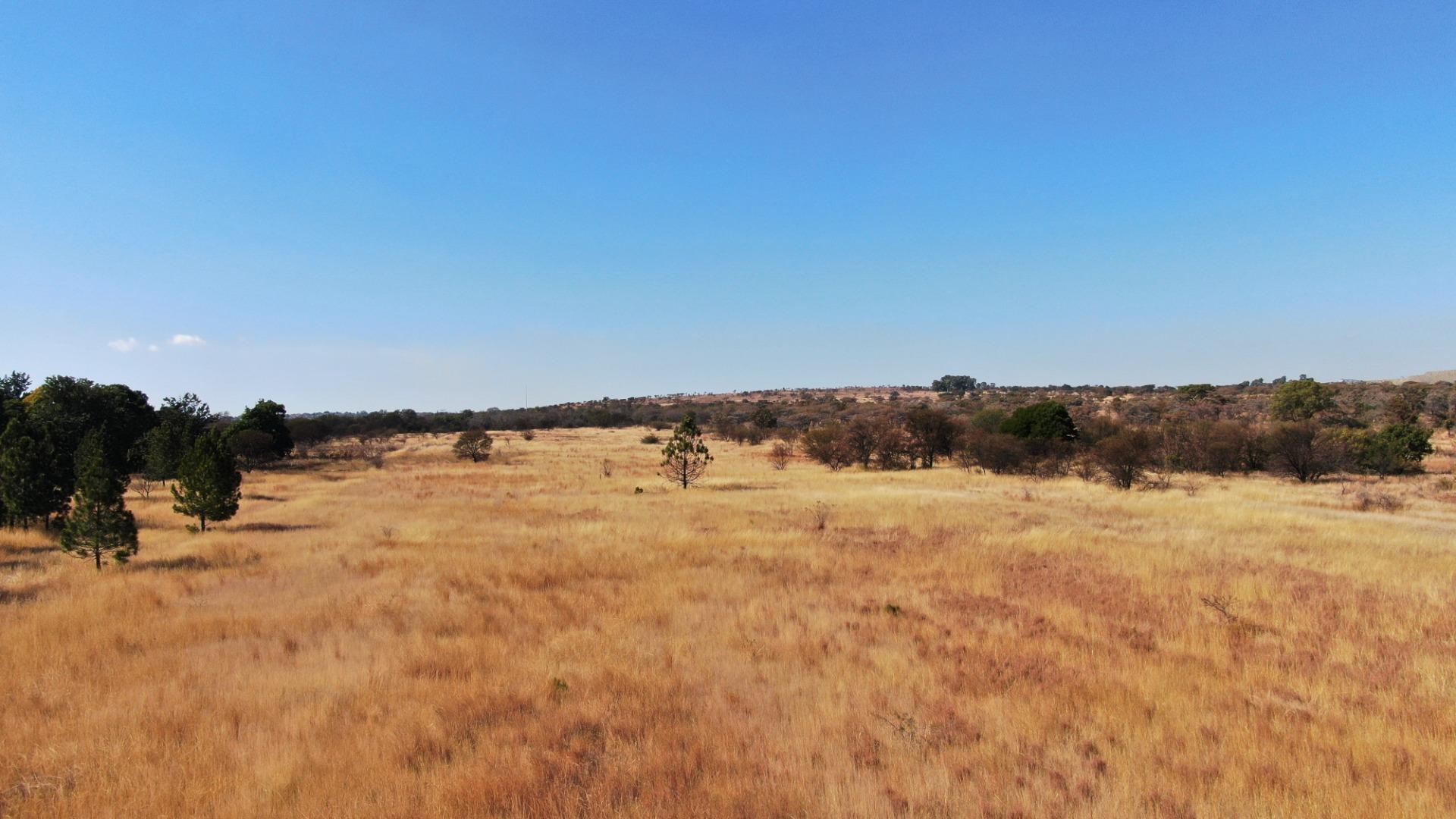 752792_DJI_0917.JPG