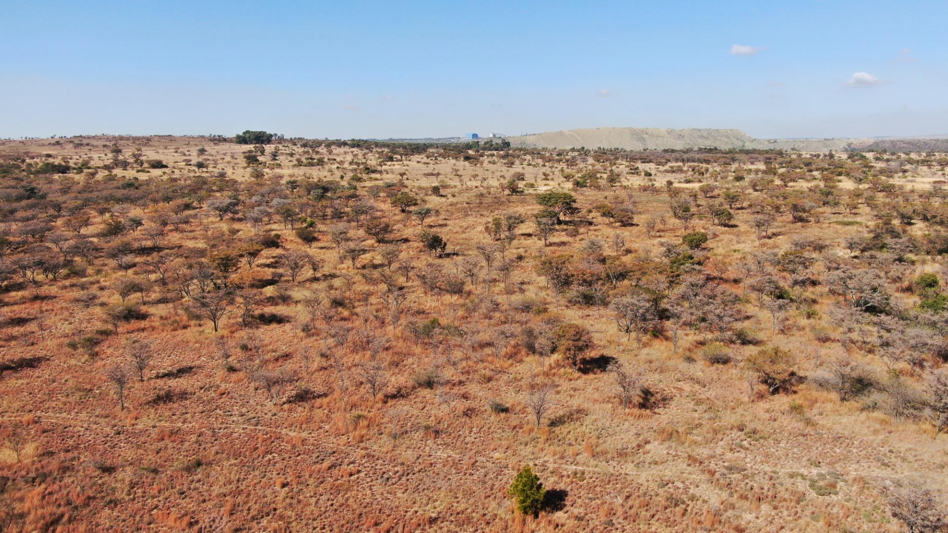 752792_DJI_0927.JPG