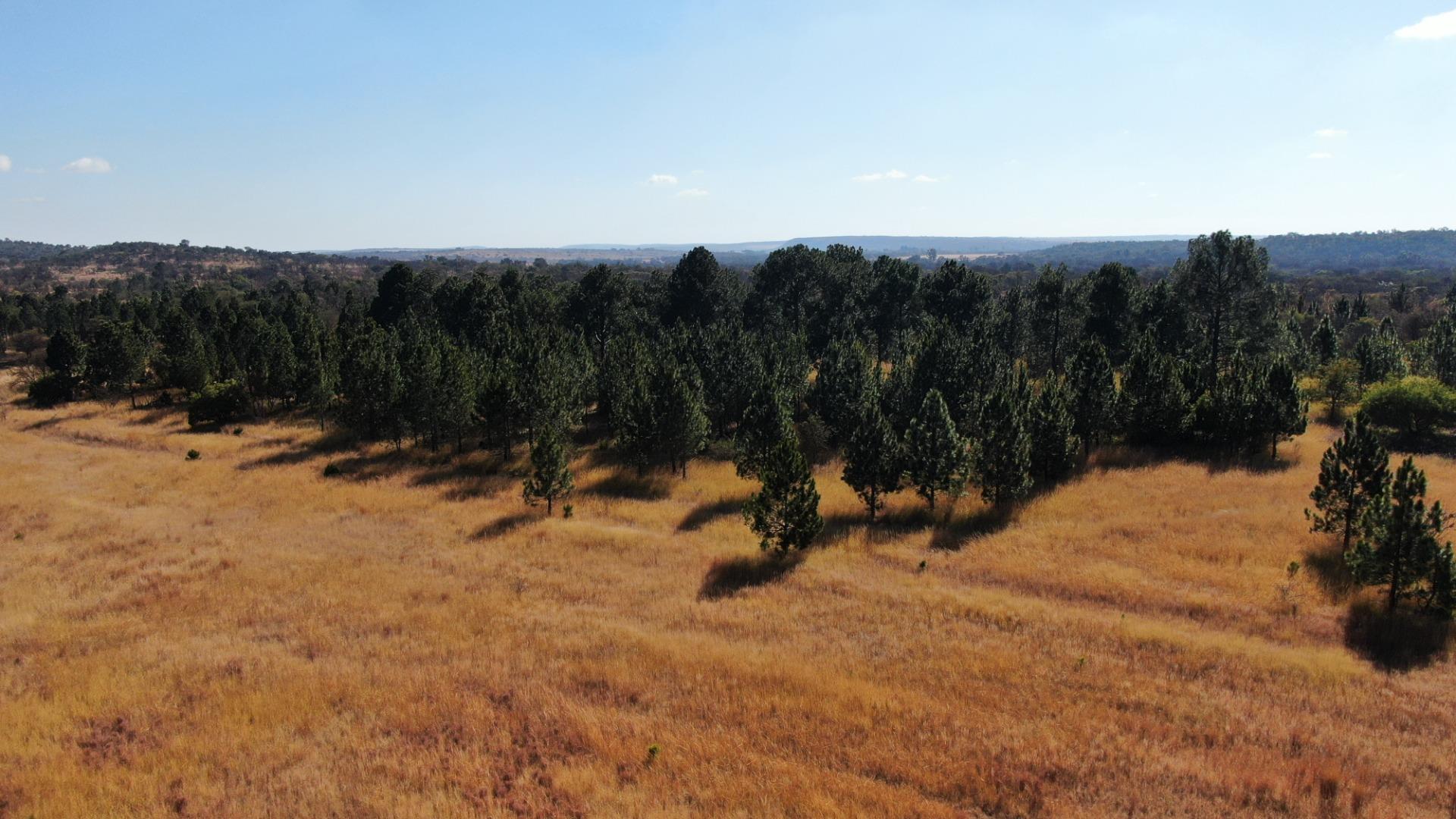 752792_DJI_0929.JPG