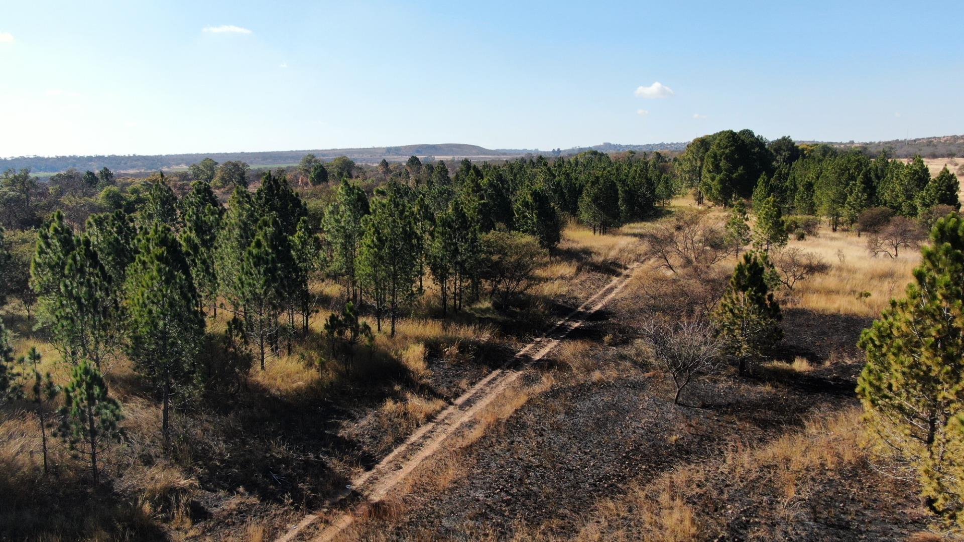 752792_DJI_0930.JPG